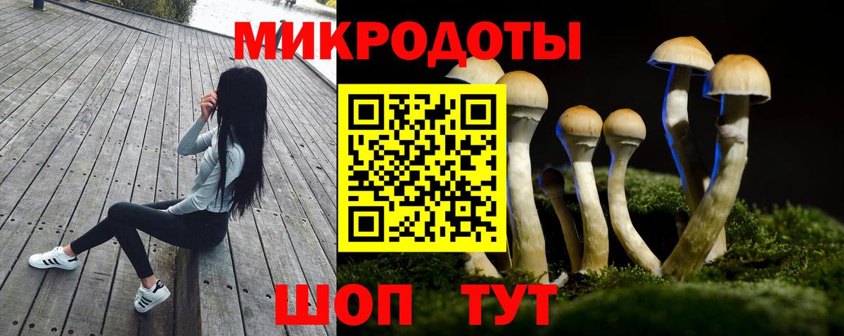 Псилоцибиновые грибы Magic Shrooms Протвино