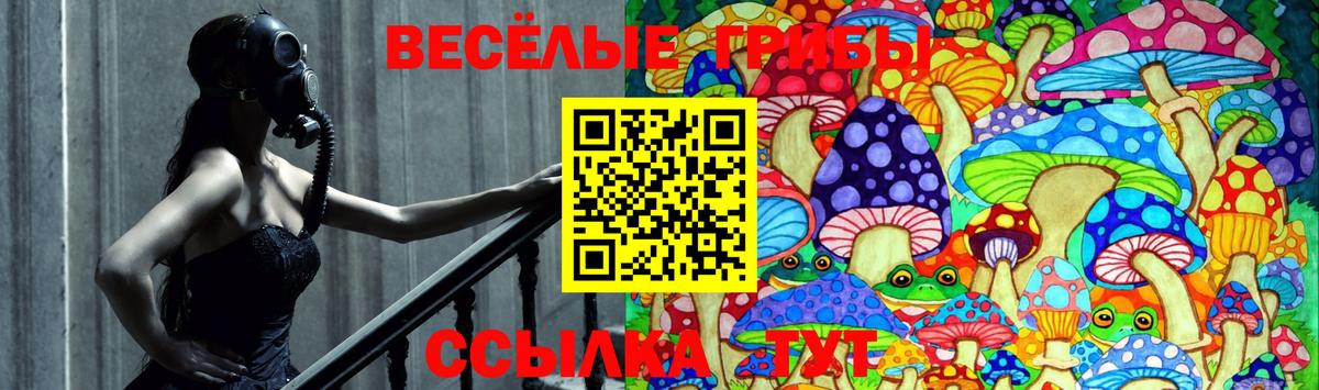 Протвино  Галлюциногенные грибы Magic Shrooms  Вход с VPN  Псилоцибиновые грибы GOLDEN TEACHER 